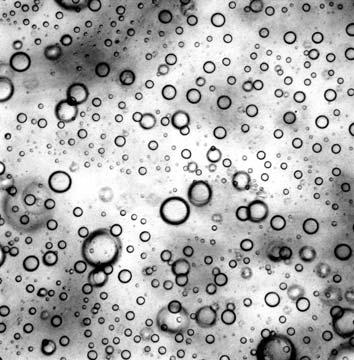 218 // /,**2 / 16 Fig., Photomicrographs of the freshly prepared O/W-type and W/O-type emulsions xf t f *.