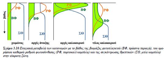 Δ.3.7. Φωτοσύνθεση 1 ο γενής παραγωγή Εποχικότητα πρωτογενούς παραγωγικότητας Εξετάζοντας περισσότερο την εποχιακή μεταβολή της φωτοσυνθετικής δραστηριότητας σε εύκρατες περιοχές (Σχήμα 3.