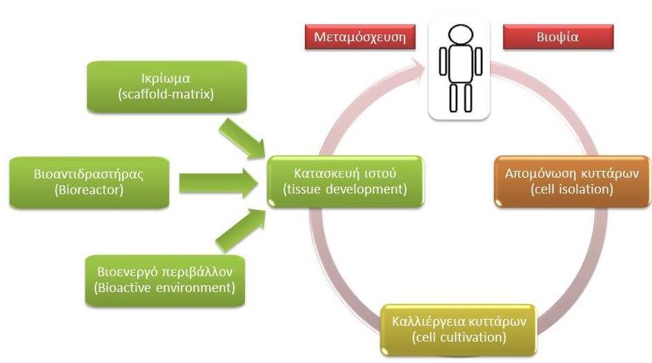 Ιστομηχανική