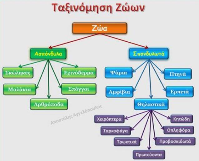 Ιεραρχικές (hierarchical) Είναι μέθοδοι στις οποίες υπάρχει ένα είδος ιεράρχισης στις ομάδες που δημιουργούνται σε κάθε επίπεδο εφαρμογής της μεθόδου. Π.χ. μια ιεραρχική ταξινόμηση των ζώων φαίνεται στον παρακάτω πίνακα Εικόνα 3: Ιεραρχική ταξινόμηση ζώων http://daskalosa.