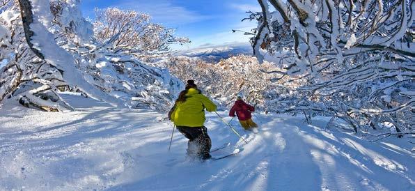 MOUNT BULLER ΠΕΡΙΠΕΤΕΙΑ ΣΤΟ ΒΟΥΝΟ BULLER Έναρξη: 06:45 Διάρκεια: 14 ώρες Μια περιήγηση σχεδιασμένη για όσους θέλουν να εξερευνήσουν το Mount Buller ή / και θα ήθελαν να κάνουν σκι.