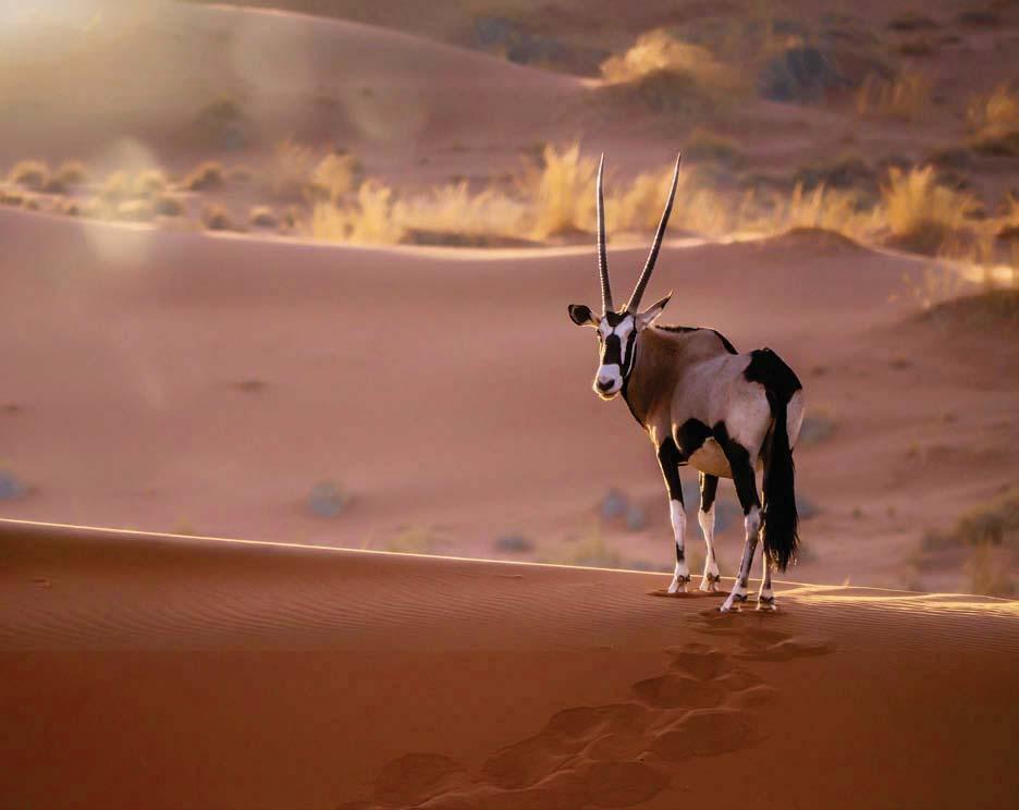 jou woorde BRIEWE WENBRIEF Kalahari-gebed vir my kind Here, in die wye stilte van hierdie paradys van gras en sand is dit makliker om leeg te raak van myself en voller van U.