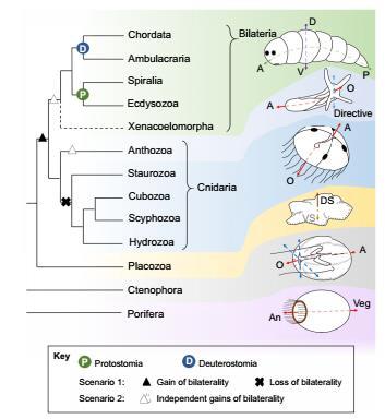 zoolab 23