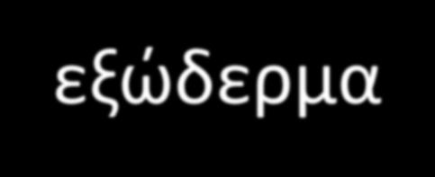 Ακοιλωματικά