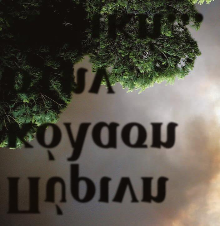 «Είχε μια φρικτή έκφραση στο πρόσωπό του», δήλωσε στην καναδική εφημερίδα «Globe and Mail» και πρόσθεσε ότι ο δράστης πλησίασε μια γυναίκα που είχε πέσει στο δρόμο καθώς προσπαθούσε να διαφύγει και