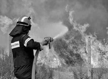 Ο 24χρονος τους είδε και αφού έτρεξε προς το μέρος τους κτύπησε στον 49χρονο στον λαιμό και από το κτύπημα αρχικά ένιωσε ζαλάδα ενώ τις επόμενες μέρες δεν είχε οποιαδήποτε συμπτώματα σοβαρής βλάβης.