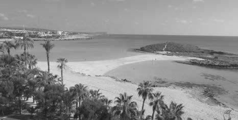 Όποιος γνωρίζει οποιονδήποτε λόγο για τον οποίο δεν θα έπρεπε να χορηγηθεί η αιτούμενη πολιτογράφηση καλείται να αποστείλει στον Υπουργό Εσωτερικών στη Λευκωσία, γραπτή και υπογεγραμμένη έκθεση των