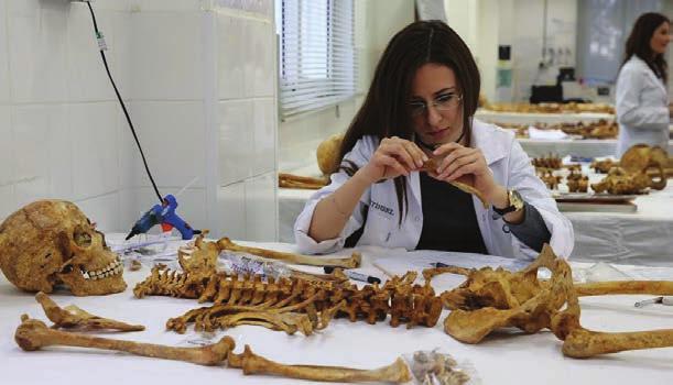 ΑΛΗΘΕΙΑ ΤΡΙΤΗ 24 ΙΟΥΛΙΟΥ 2018 8 ΕΠΙΚΑΙΡΟΤΗΤΑ Ανοικτοί λογαριασμοί του Mr Bitcoin και στην Κύπρο Τ ο όνομα της Κύπρου δεν απουσιάζει ούτε και από την υπόθεση του γνωστού και ως Mr Bitcoin, Αλεξάντερ