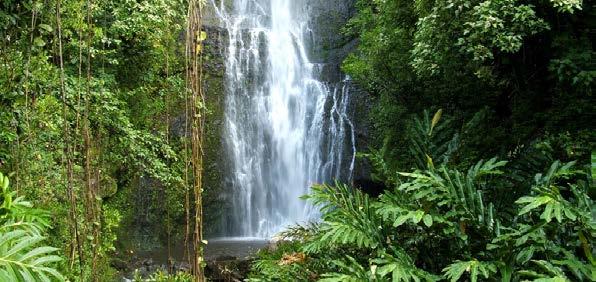 HIKE OAHU ΠΑΝΕΜΟΡΦΑ ΜΟΝΟΠΑΤΙΑ ΠΕΖΟΠΟΡΙΑΣ Έναρξη: 09:00 Διάρκεια: 3,5-4 ώρες Με δύο ηφαιστειακές οροσειρές, πλούσιες κοιλάδες, αναζωογονητικούς ανέμους και υπέροχη θέα στον Ειρηνικό Ωκεανό, το Oahu