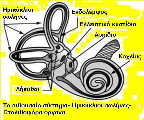 Βραχύβια Μαγνητοϋδροδυναμικά φαινόμενα Η δράση μιας μικρής