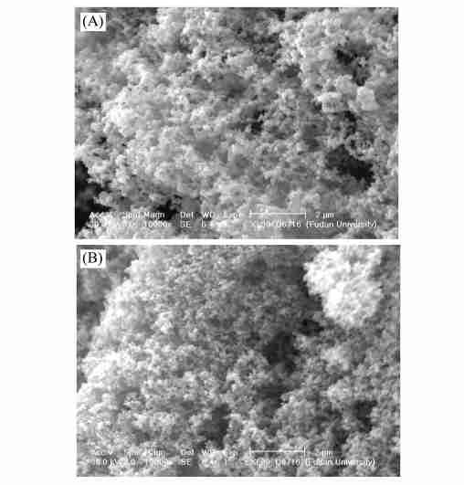 No 14 : Ni2Sn2B/ SiO 2 1351 1 Ni2Sn2B/ SiO 2 Table 1 Some physicochemical characters of the as2prepared Ni2Sn2B/ SiO 2 catalysts Catalyst Ni loading (wt %) Composition (atomic ratio) S BET / (m 2 g -