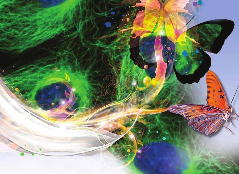 4 th meeting on the state of art in cancer therapies