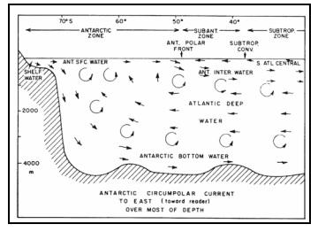 χαρακτηριστικό της κυκλοφορίας του είναι η παρουσία του ισχυρού και με μεγάλο βάθος ανατολικής διεύθυνσης ρεύματος που ονομάζεται Antarctic CircumPolar Current (ACC).
