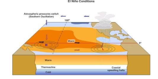 pdf Το El Niño είναι ένα τέτοιο κλιματικό φαινόμενο που παρατηρήθηκε κατ αρχήν από τους ψαράδες της Νότιας Αμερικής, οι οποίοι το συνδιάσαν με τη δραματική μείωση των αλιευτικών αποθεμάτων και την