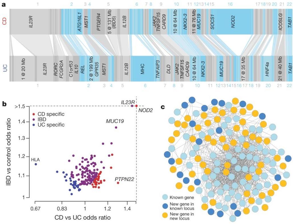 The IBD genome: >150 polymorphisms