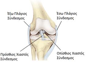 15 Εικόνα 1.2: ςφνδεςμοι (www.google.gr) 1.