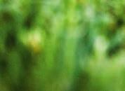FarmSight της
