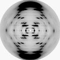 Mostráronme os rayos X de Rosalind Franklin e 'Whooo!