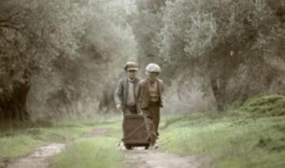 Εικόνα από το φιλμ The Olive Tree Will Always Be Here, δηλαδή η ελιά θα είναι πάντα εδώ.