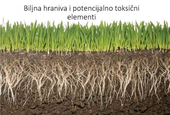 Biljna hraniva i potencijalno toksični elementi Potrebni (esencijalni, biogeni) elementi: a) makroelementi: C, O, H, N, P, K, S, Ca, Mg,