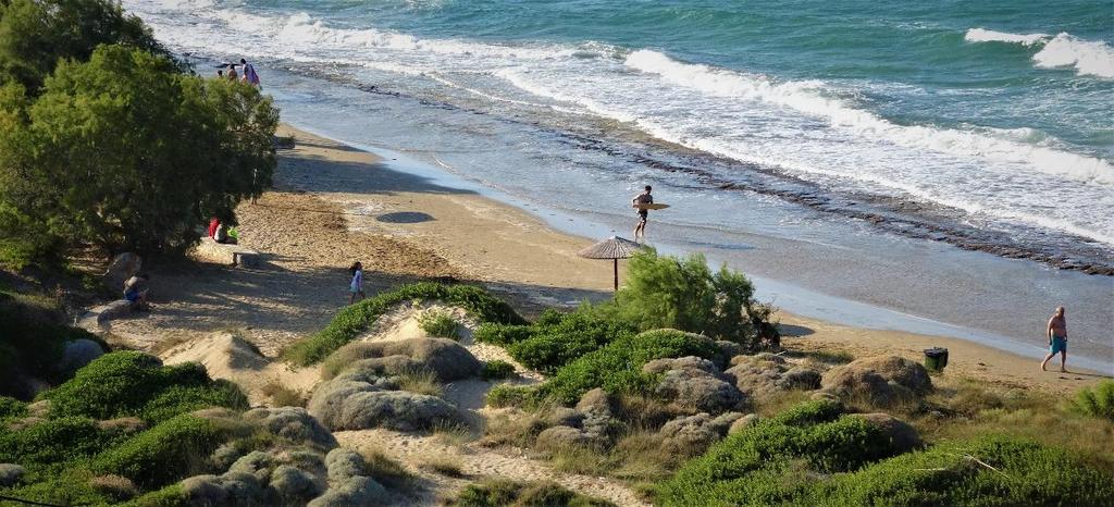 πυροβόλων, αποθήκες πυρομαχικών και υπόγεια καταφύγια.