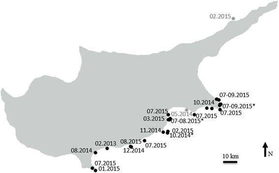 Το λεοντόψαρο στη Μεσόγειο Πρώτη αναφορά το 1992 στο Ισραήλ
