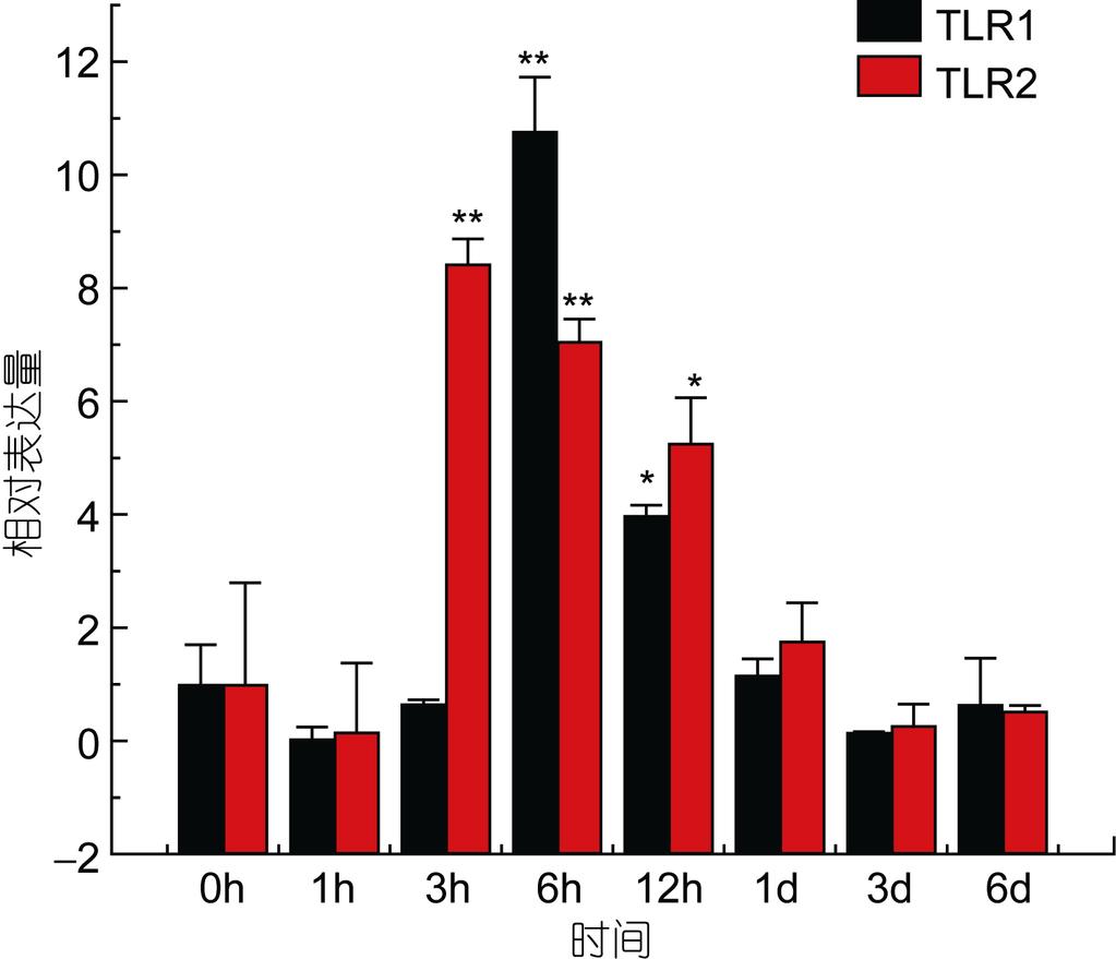 4 : (Edwardsiella tarda) (Paralichthys olivaceus)tlr1 TLR2 851 5 TLR1 TLR2 E. tarda Fig.5 Relative expression of P.