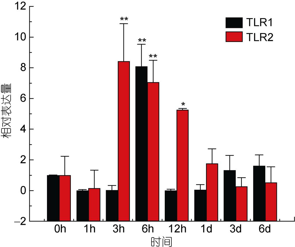 05), 1d,, 14.5 (P<0.01), TLR2, 3h, TLR2, 8.5 (P<0.01),, 0 6 TLR1 TLR2 E. tarda Fig.6 Relative expression of P.