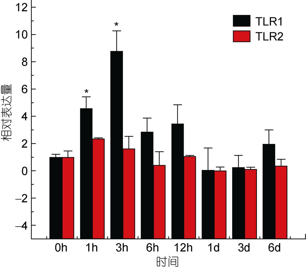 olivaceus TLR1 and TLR2 in the gill after infection by E. tarda 7 TLR1 TLR2 E. tarda Fig.7 Relative expression of P.