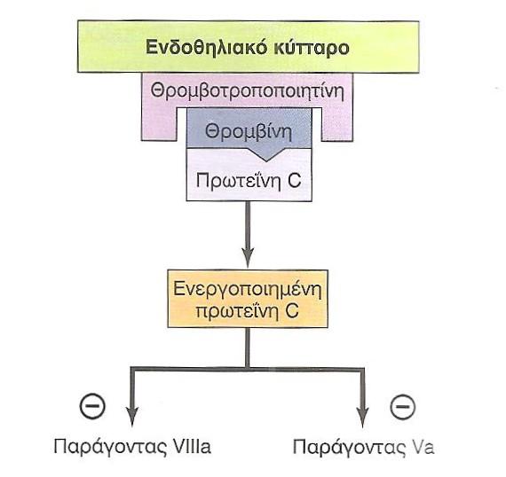 Σχήμα 6.