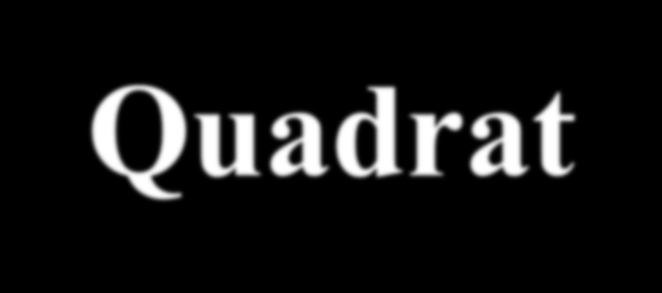 Quadrat 1. Επιλογή quadrat Α. Να είναι μεγάλο - μέγιστο αριθμό ειδών Β. Οικολογικές συνθήκες εντός quadrat να είναι σταθερές Γ.