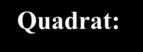 Quadrat: μέγεθος - πόσο μεγάλο; Όσο πλουσιότερη σε αριθμό ειδών είναι μια φυτοκοινότητα και όσο υψηλότερα είναι τα φυτά που τη συνθέτουν, τόσο μεγαλύτερο πρέπει να είναι και το εμβαδόν του quadrat