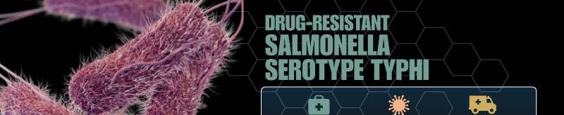 Drug-Resistant Salmonella Serotype Typhi Salmonella serotype Typhi
