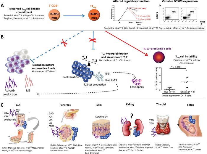 From IPEX syndrome to FOXP3 mutation: a lesson on immune dysregulation Annals of the New York Academy of Sciences