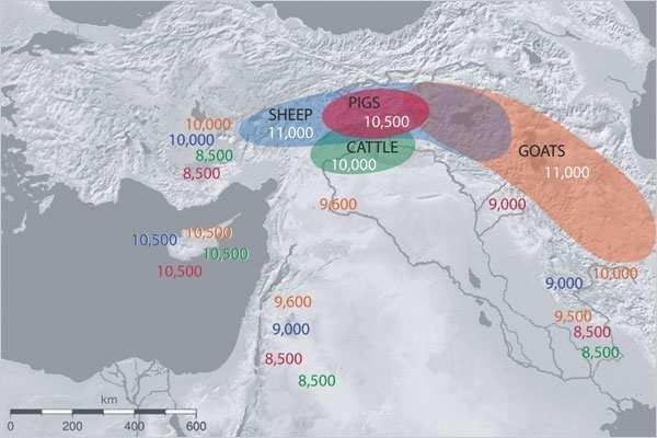 στές οάσεις που ήταν διαθέσιµες.