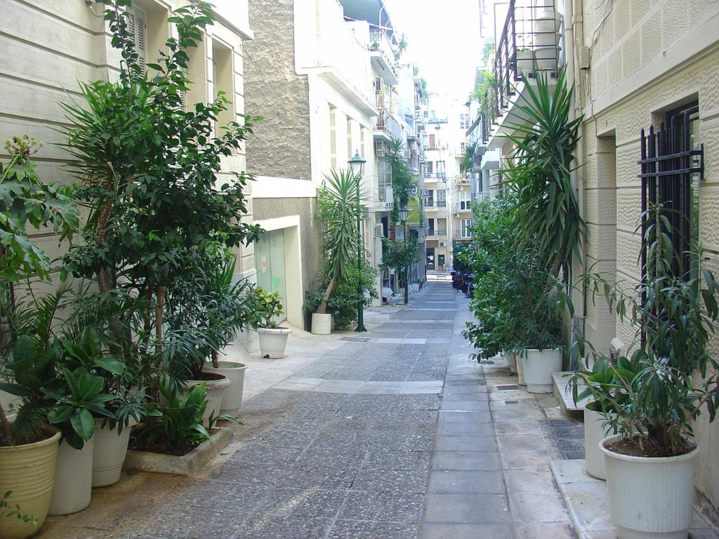 Τα δέντρα στην πόλη της Αθήνας ΜΑΡΙΑ