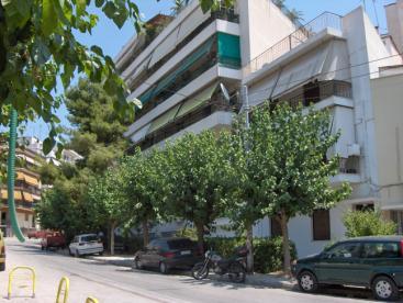 Τα δέντρα της πόλης Μεσογειακά είδη Μουριά (Morus alba) Πολύ συνηθισμένο φυλλοβόλο είδος.