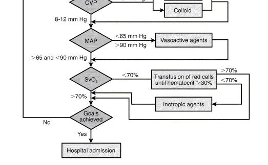 treatment of severe sepsis and