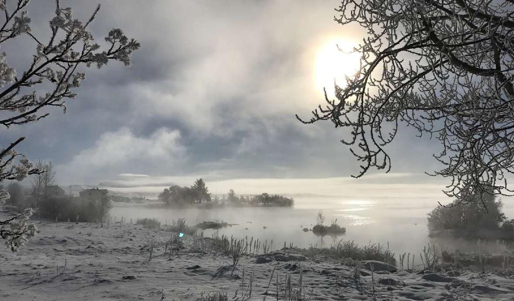 Mývatn er einn þeirra viðtaka sem mikið hefur verið ræddur á undanförnum árum. Gögnin eru hluti af framlagi Íslands í gagnabanka Alþjóðahafrannsóknaráðsins (ICES).