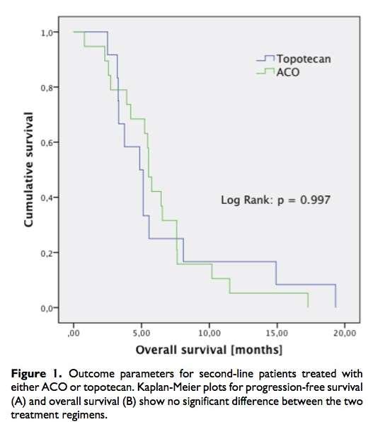 SECOND-LINE TREATMENT early relapse (6 weeks): BSC or clinical trial resistant disease (relapse <3 mo), PS 0-2: