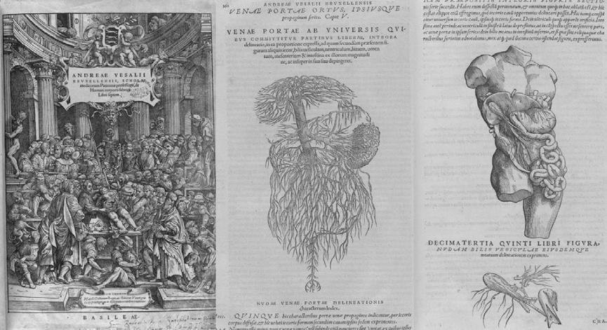συγγραφή του De humani corporis fabrica libri septem από τον Vesalius το 1543, σε ηλικία μόλις 28 ετών, αποτελεί ορόσημο για τη σύγχρονη ανατομία και σηματοδοτεί τη μεταστροφή της ιατρικής από τις
