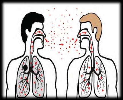 Pathogenesis of Tuberculosis Μετάδοση