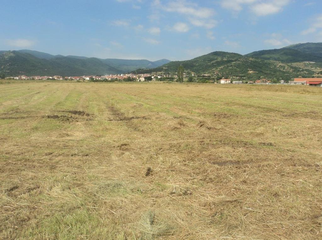 Εικόνα 21: Περιοχή μελέτης για τον προσδιορισμό της συγκέντρωσης του CO2 Κατά τη διάρκεια του θέρους, στο έδαφος αυτό λόγω της ξηρασίας που επικρατεί ακούγεται ένας ξερός γδούπος όταν αυτό κρουστεί