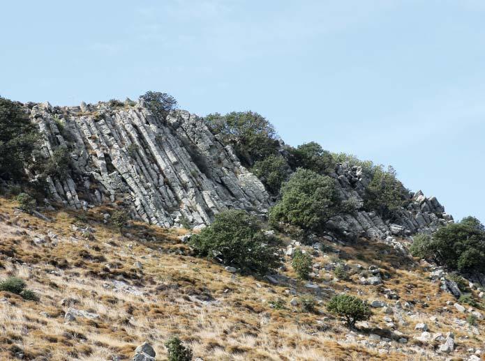 Οι παρευρισκόµενοι είχαν την ευκαιρία να γνωρίσουν το δεινοθήριο της Λέσβου και όλες τις λεπτοµέρειες για την ηλικία, τη µορφή και τη ζωή του που έχουν προκύψει µέσα από την παλαιοντολογική έρευνα