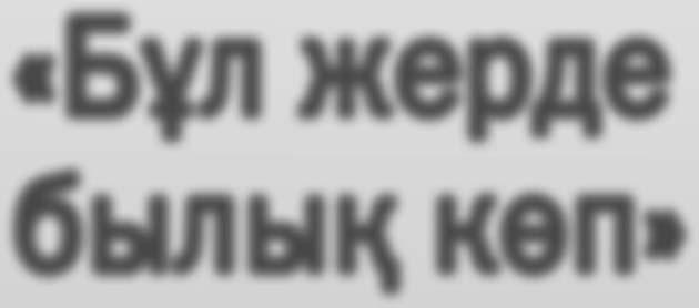 kz сайтындағы мына ақпаратты қараңыз, деп ұялы телефонын ұсынды.