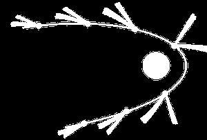 3.- Os cometas: ASTRONOMÍA *Desprázanse polo Sistema Solar con órbitas moi excéntricas e con períodos que van de 3 anos a 200.10 6 de anos. * Presentan un diámetro entre 1 e 10 km.