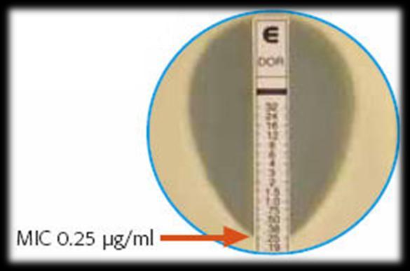 Antimicrobial Susceptibility Testing) Εθνικές επιτροπές (BSAC, SFM, DIN κ.ά.