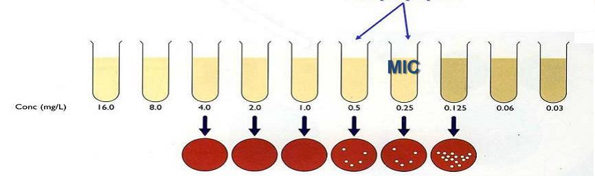 φαινοτυπικές μέθοδοι: Ελάχιστη Ανασταλτική Πυκνότητα του φαρμάκου (ΕΑΠ)