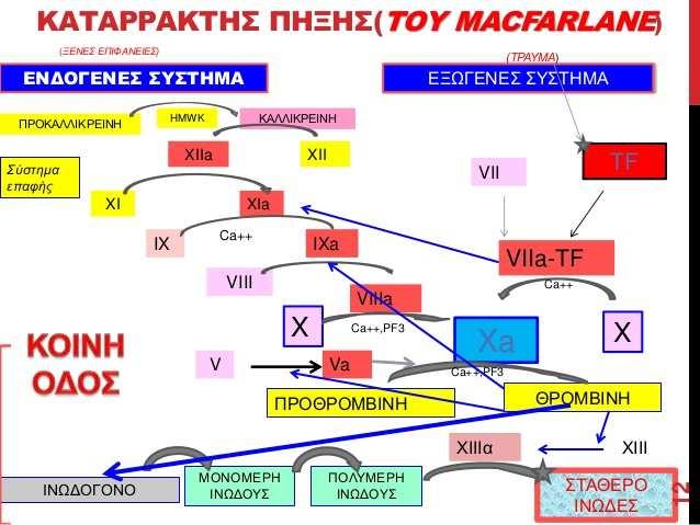 Αντιπηκτική αγωγή ; Ασενοκουμαρόλη Βαρφαρίνη, Φαινπροκουμόνη Ριβαροξαμπάν, Απιξαμπάνη, Εντοξαμπάνη Δαβιγατράνη Guidelines ESC valvularheart disease