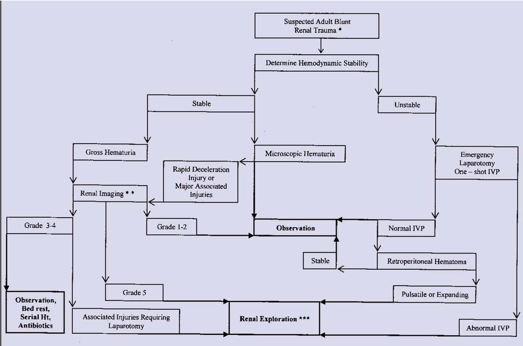 Suspected renal trauma results from reported mechanism of injury and physical examination.